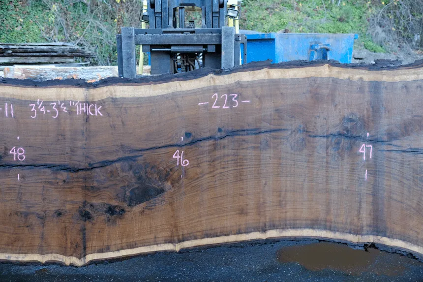 112918-11 Oregon Black Walnut Slab