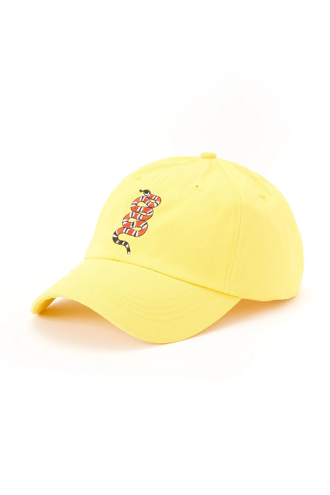 Amnesia Snake Dad Cap