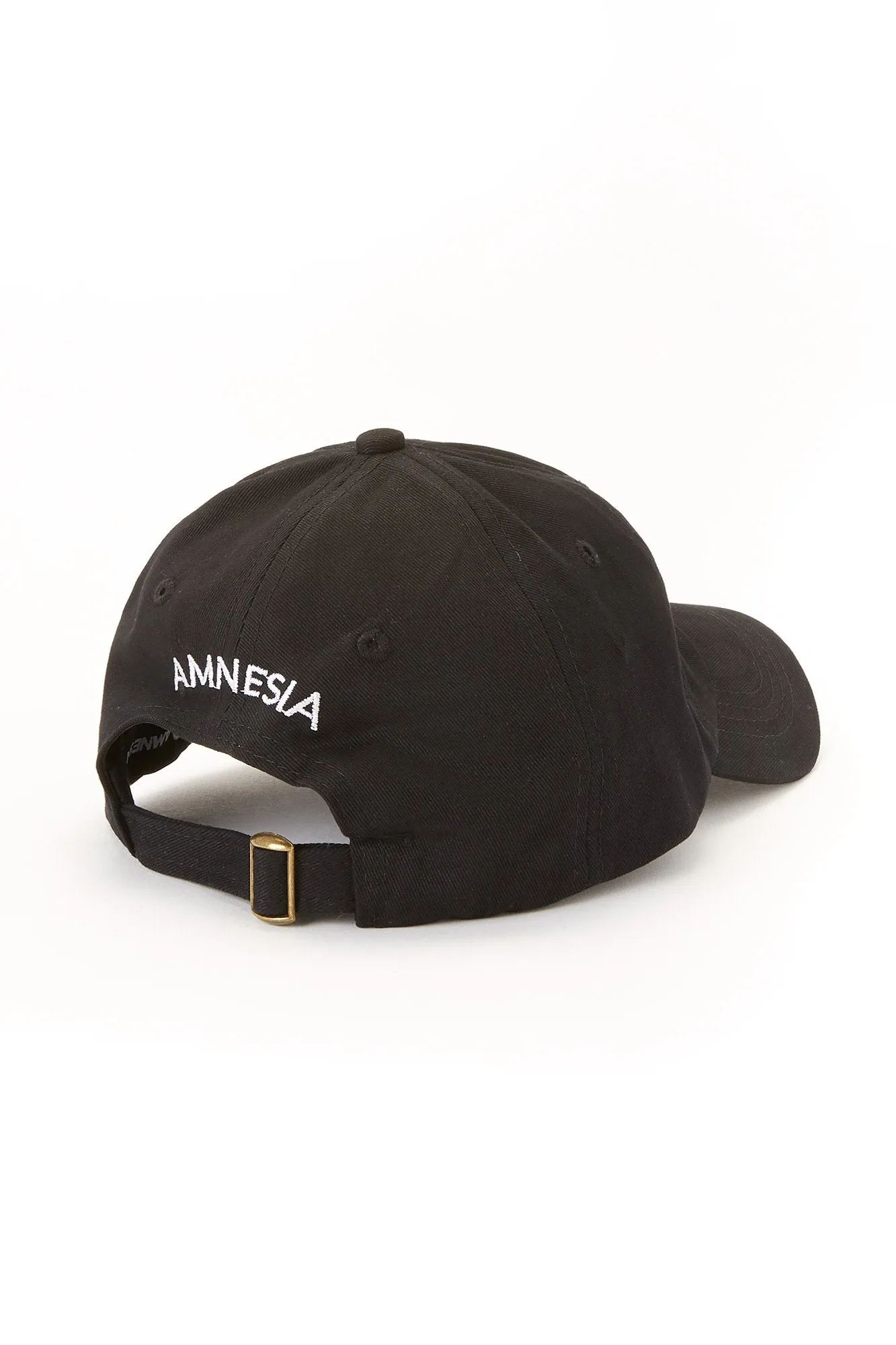 Amnesia Snake Dad Cap