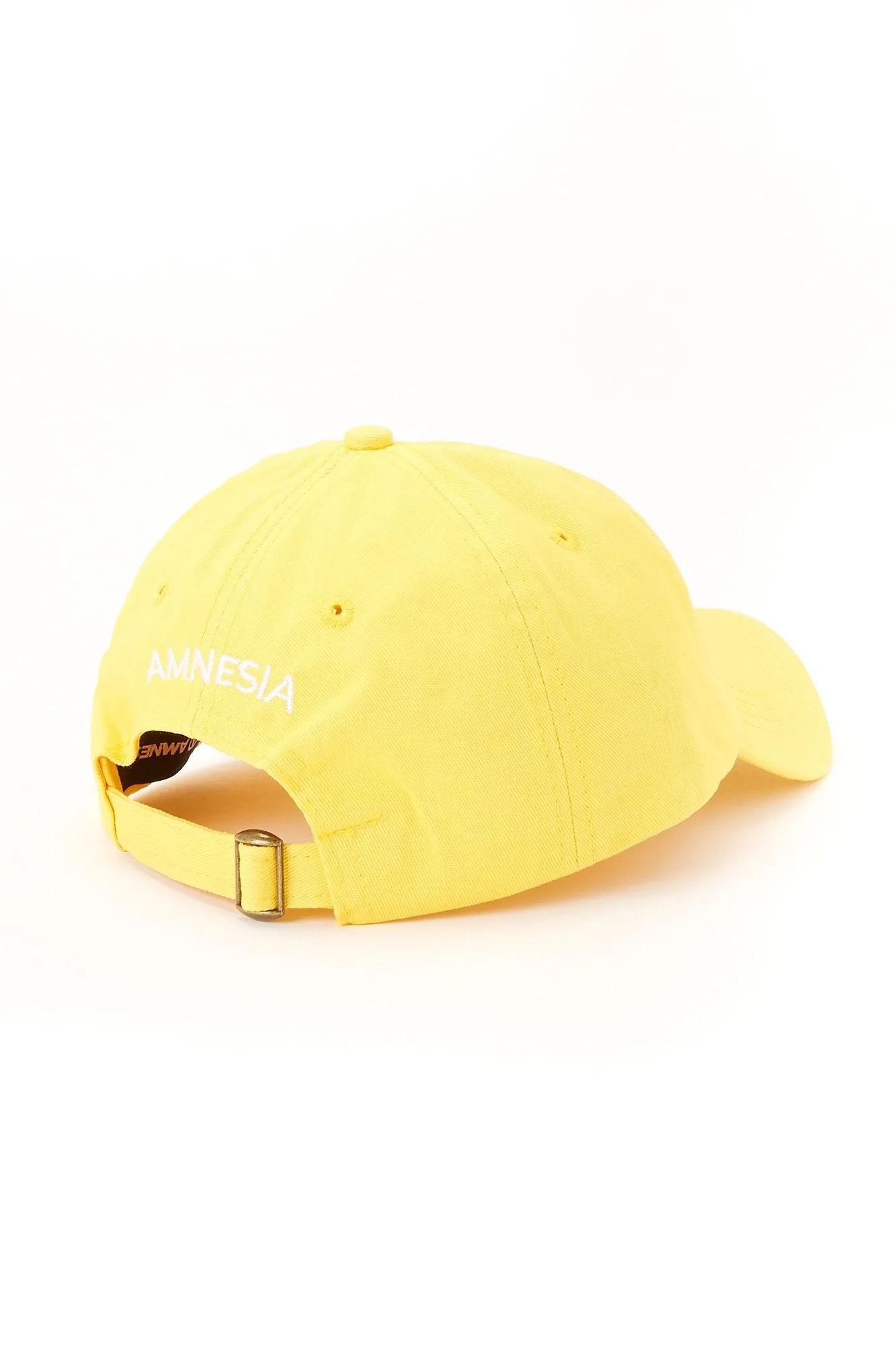 Amnesia Snake Dad Cap