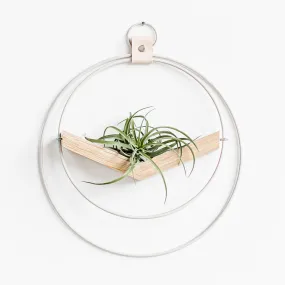 Braid & Wood Design Studio - V-Hanger (Light & Airy) - White Air Plant Holder: Small