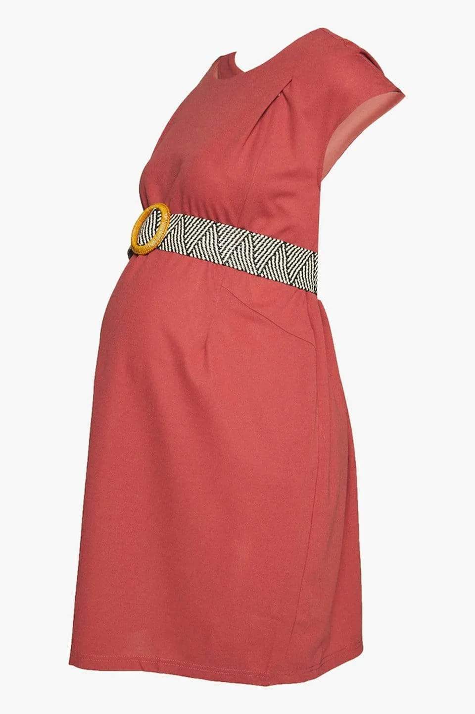 Dellen Short Sleeve Nursing Dress Terracotta