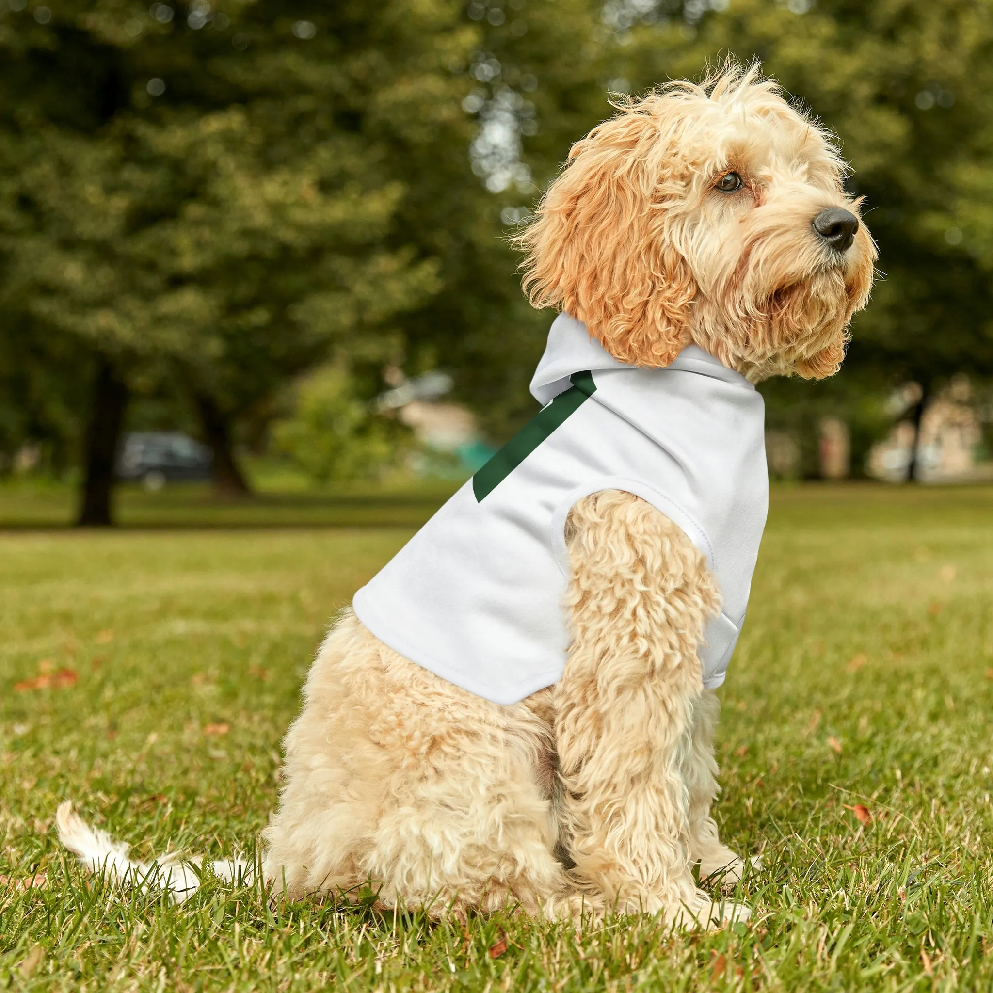 Dog Hoodie