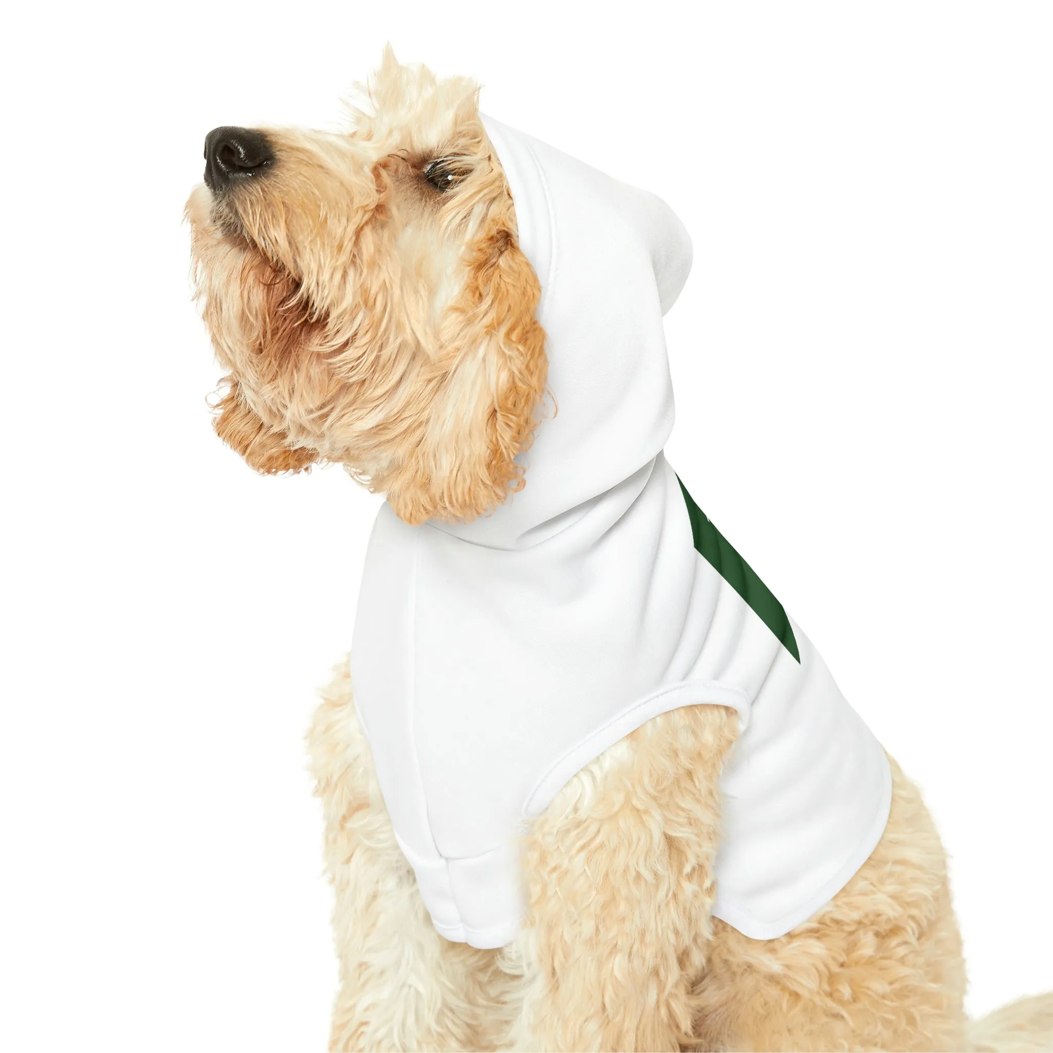 Dog Hoodie