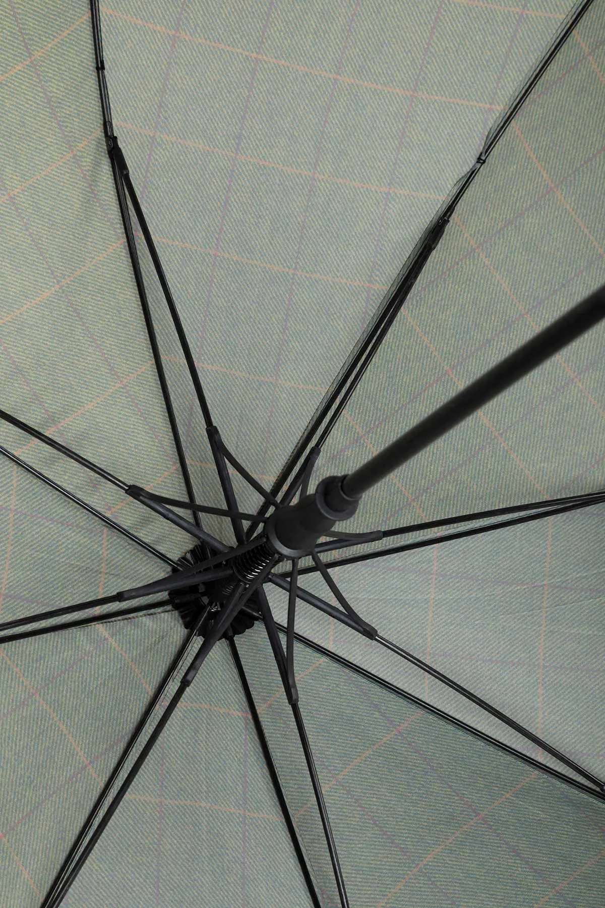 Large Umbrella