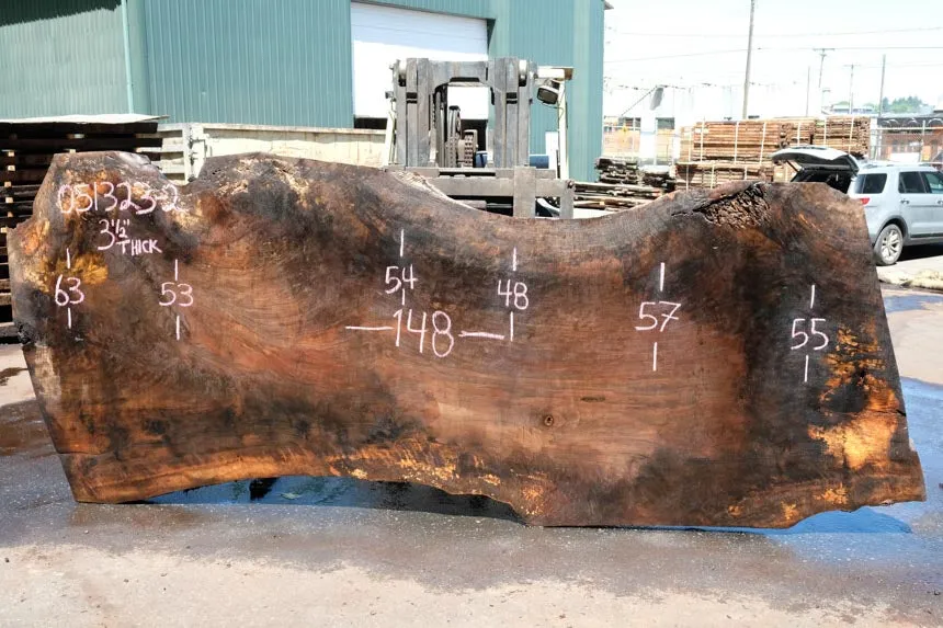 Oregon Black Walnut Slab 051323-02