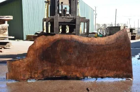 Oregon Black Walnut Slab 062122-08