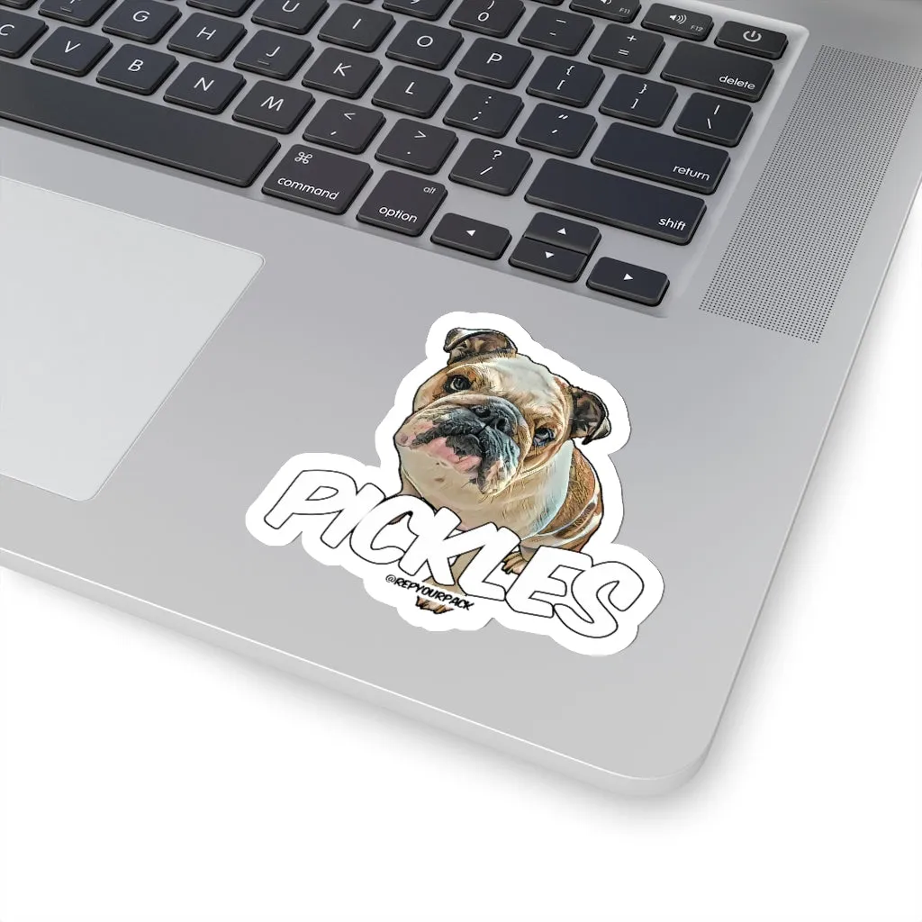 Pickles Stickers