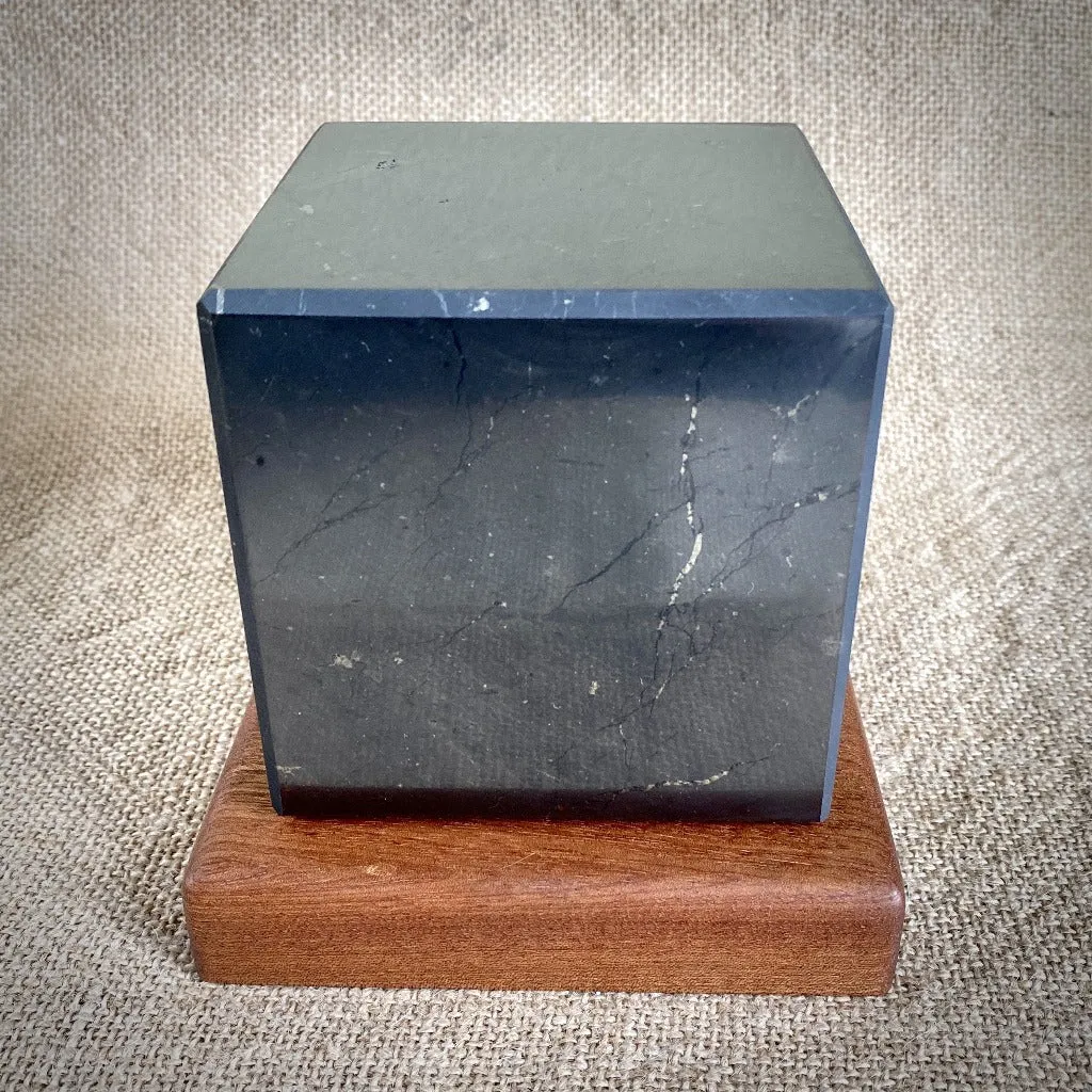 Polished Shungite Cube, 4 Inch (100 mm), with Custom Mahogany Stand