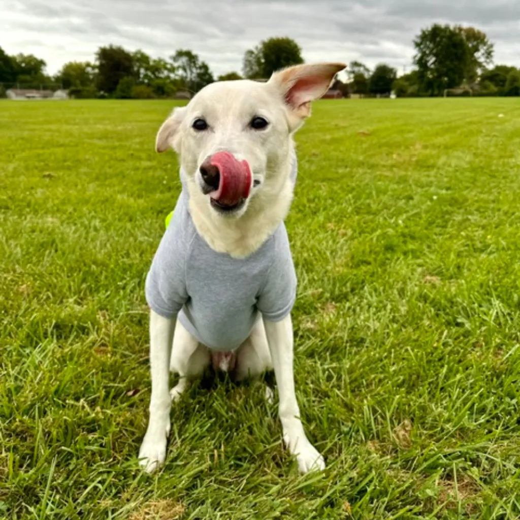 Slurpee® Pet Fleece with Bag