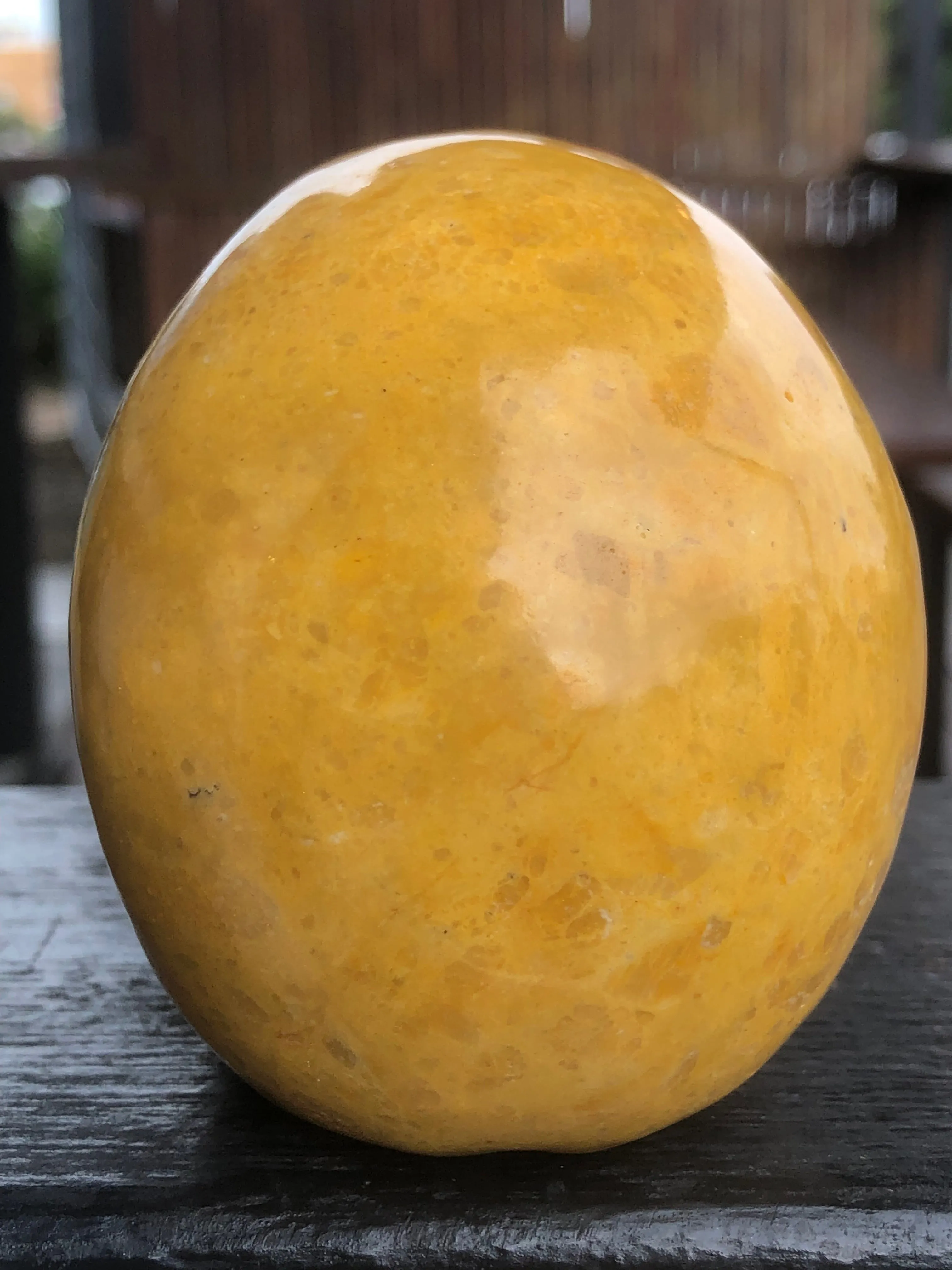 Yellow Jasper Skull [1k1425]